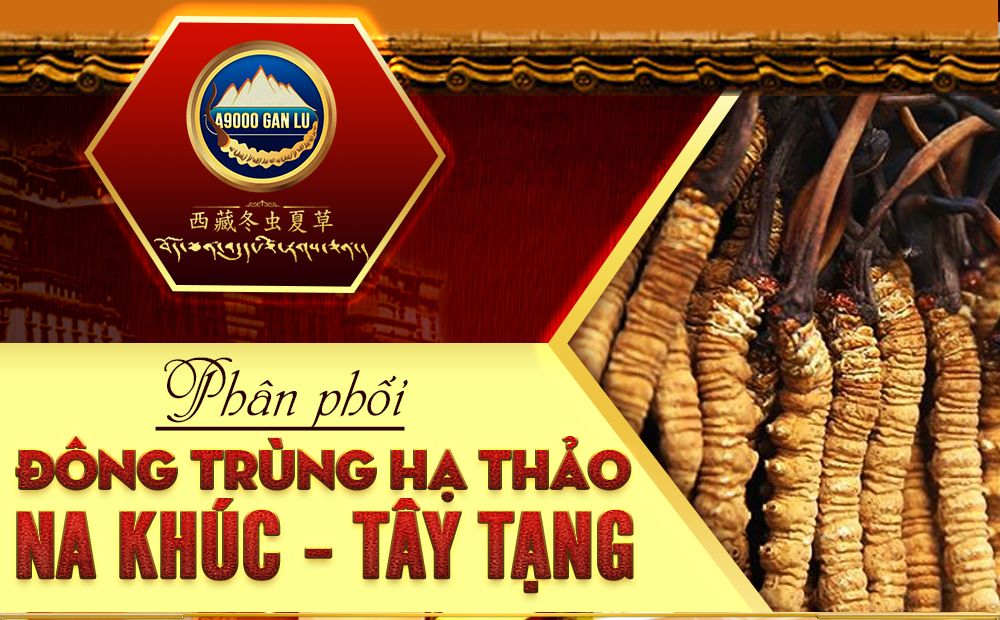 Con đông trùng hạ thảo nguyên con sấy khô loại cao cấp