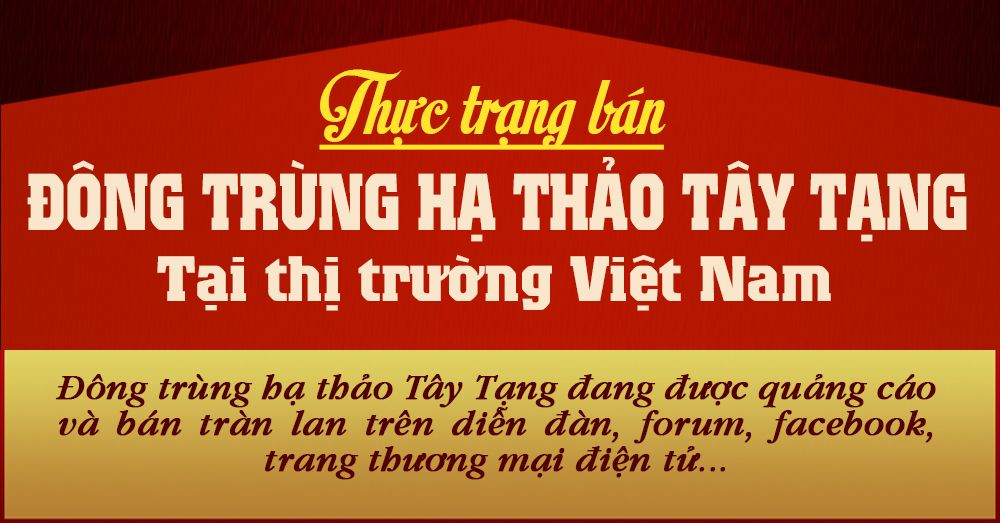 Con đông trùng hạ thảo nguyên con sấy khô loại cao cấp