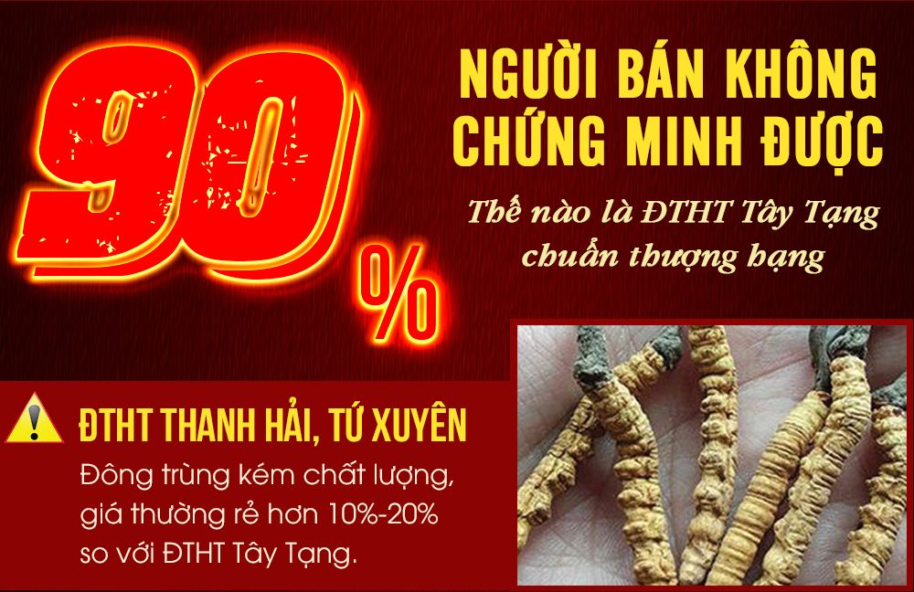 Con đông trùng hạ thảo nguyên con sấy khô loại cao cấp