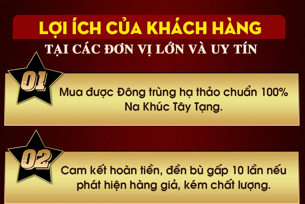 Con đông trùng hạ thảo nguyên con sấy khô loại cao cấp