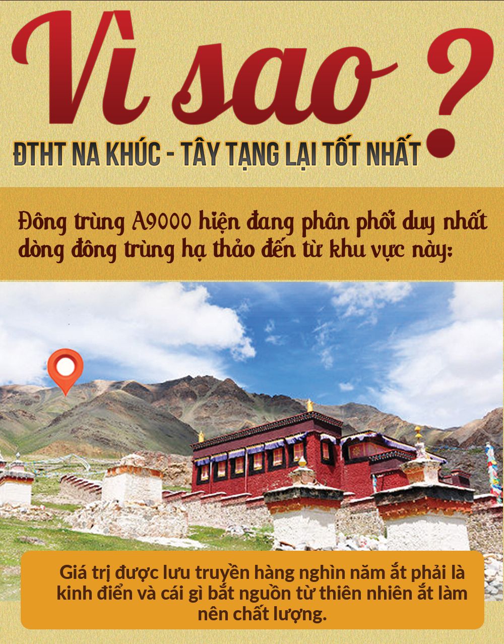Sản phẩm hộp đông trùng hạ thảo đặc biệt