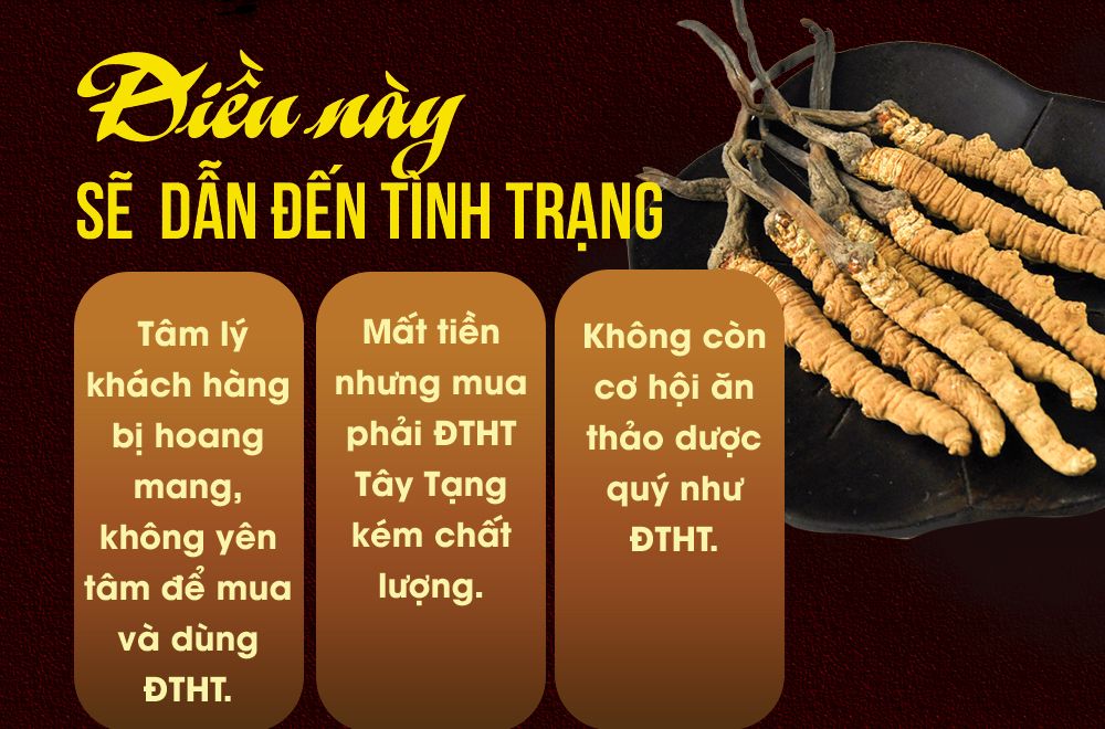 Phần thân, phần lưng của con ĐTHT