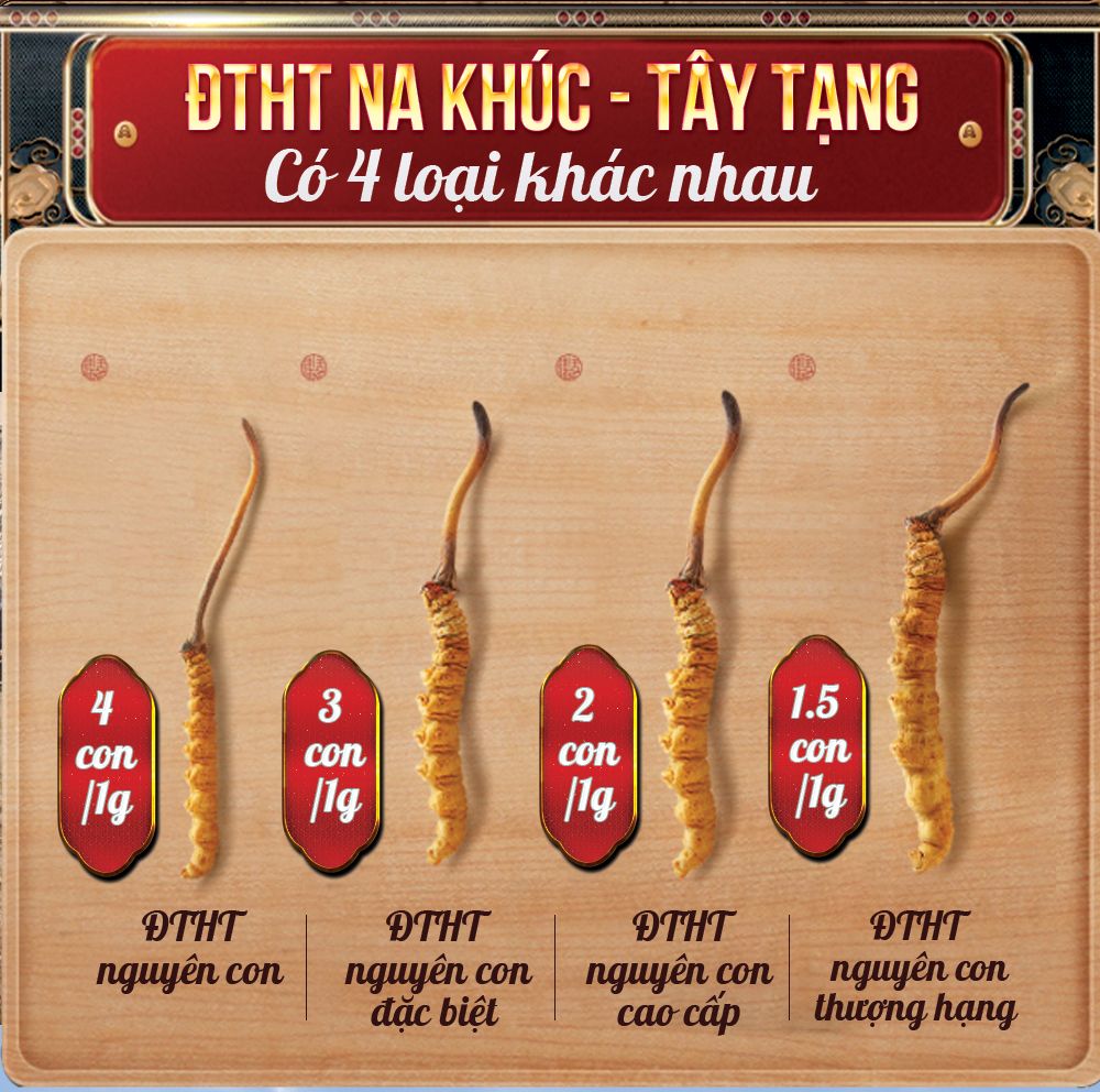 Con đông trùng hạ thảo nguyên con sấy khô loại nhỏ