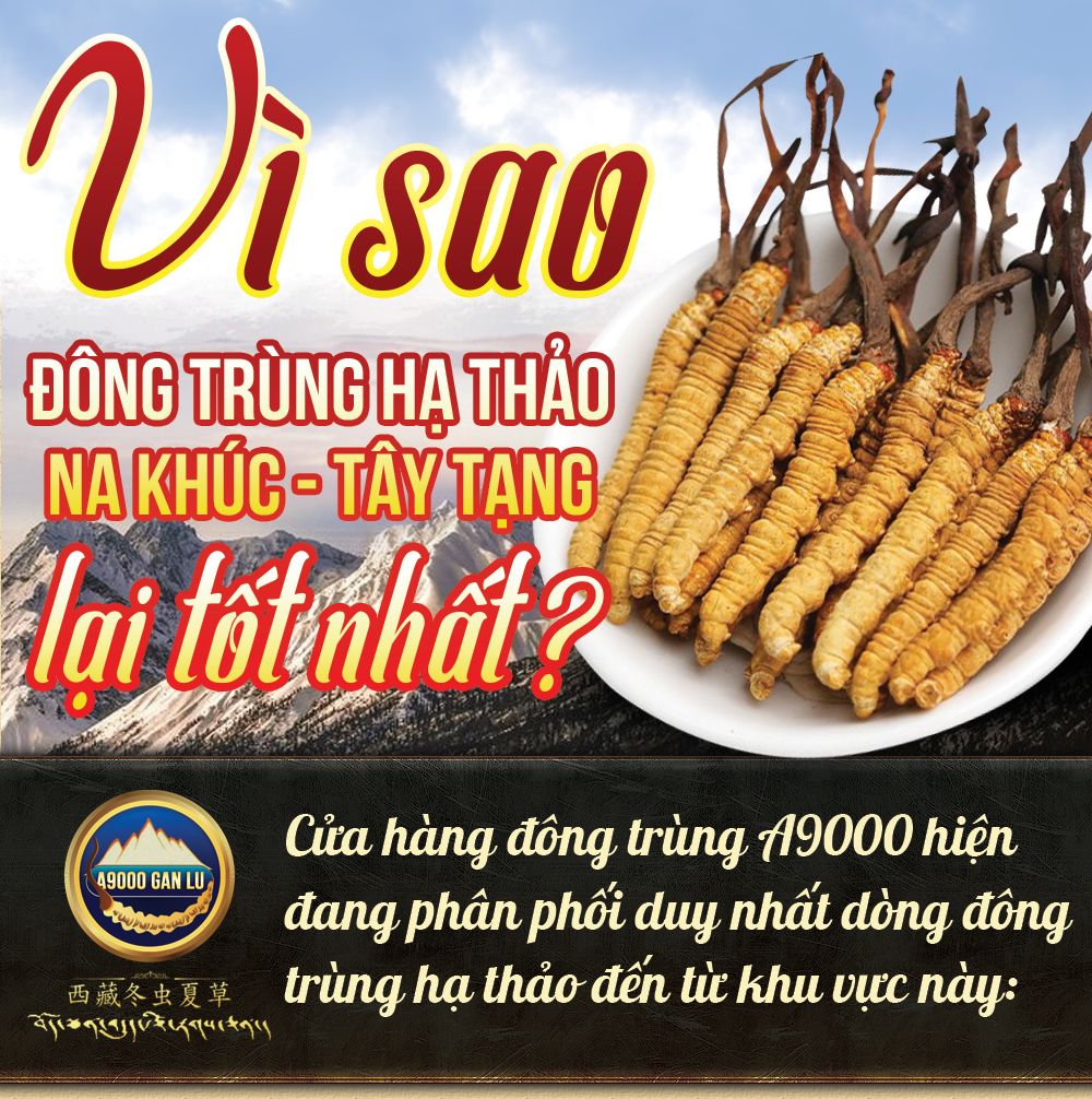 Con đông trùng hạ thảo nguyên con sấy khô loại nhỏ