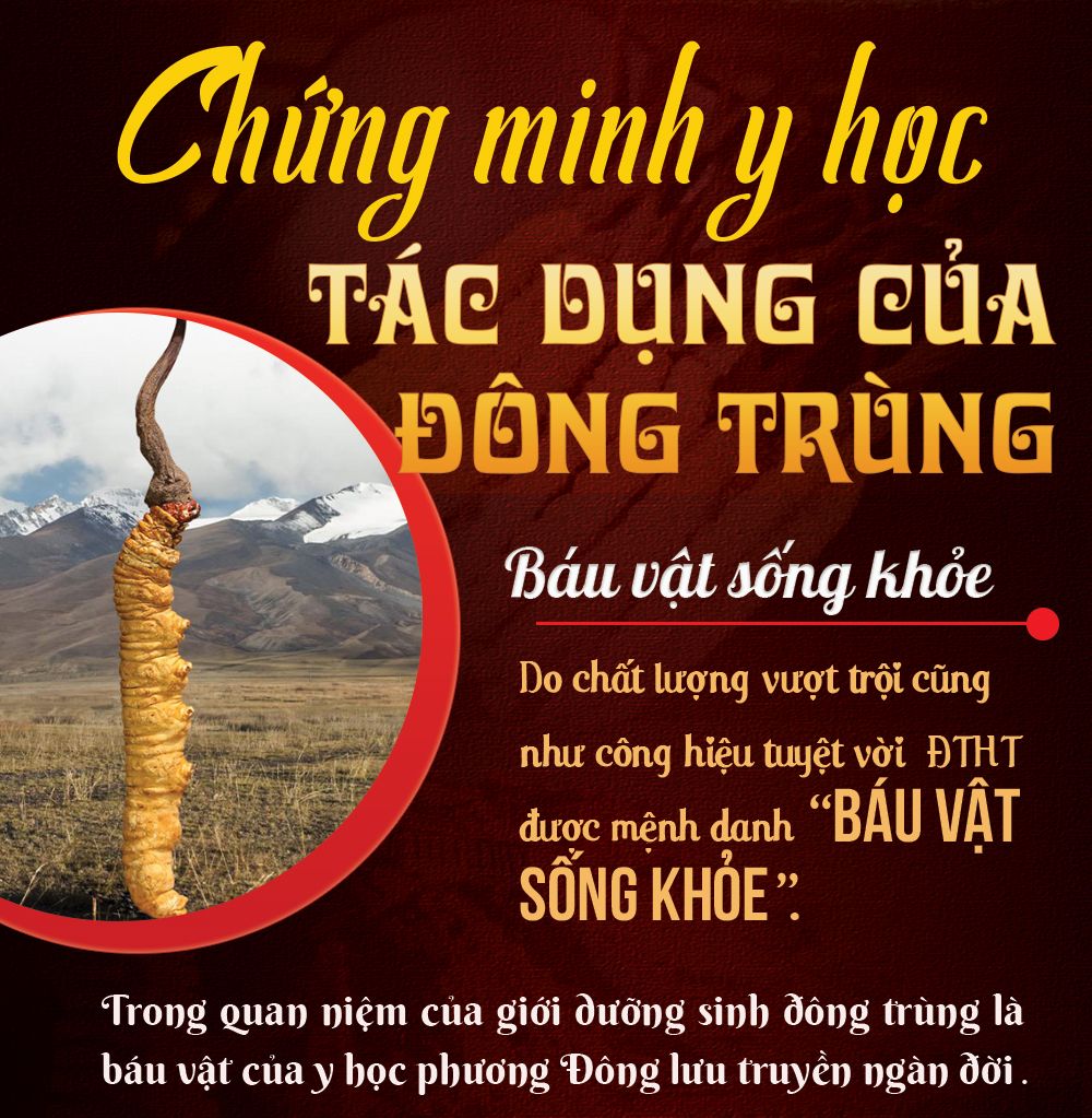 Con đông trùng hạ thảo nguyên con sấy khô loại nhỏ