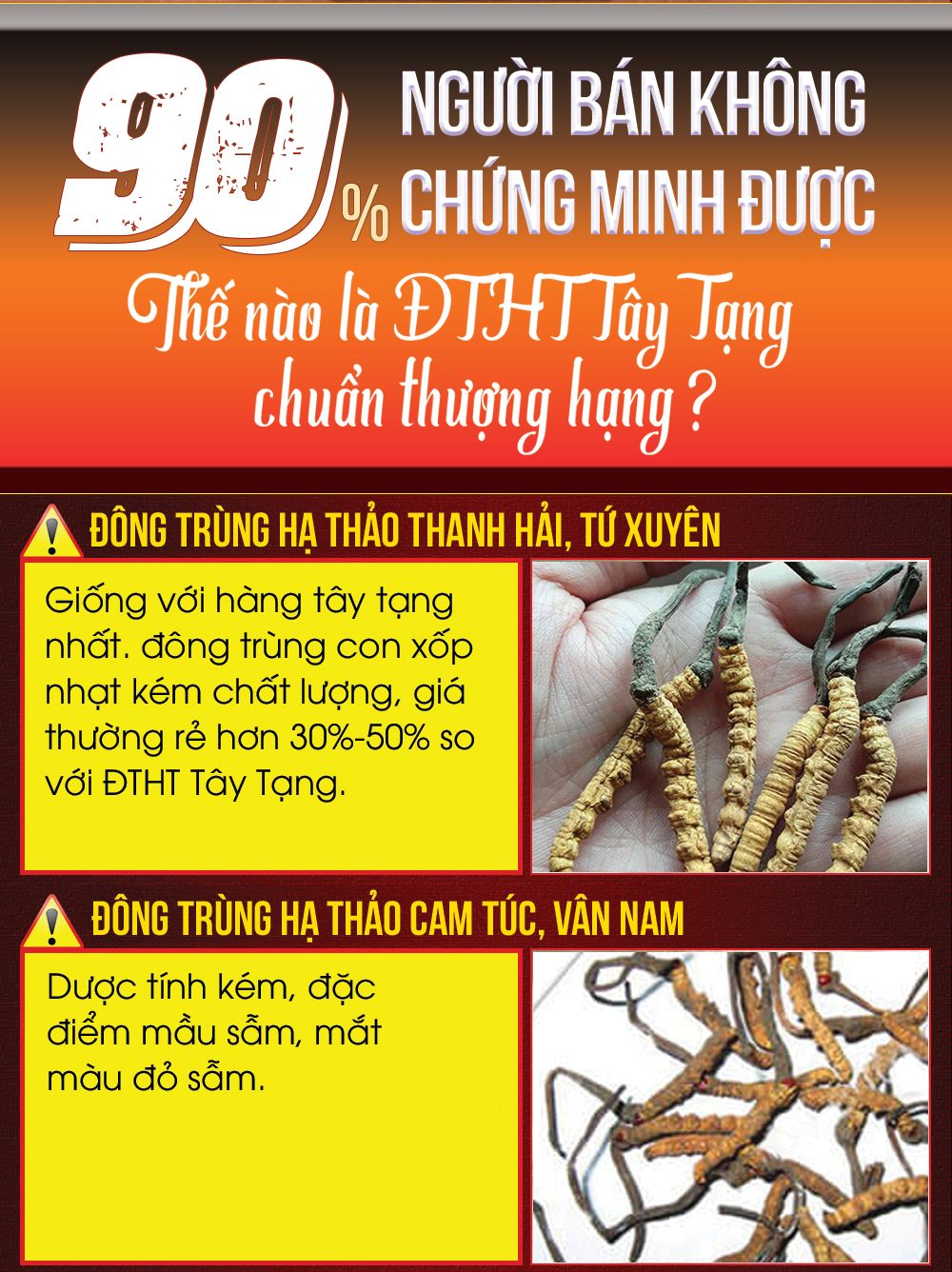 Con đông trùng hạ thảo nguyên con sấy khô loại nhỏ