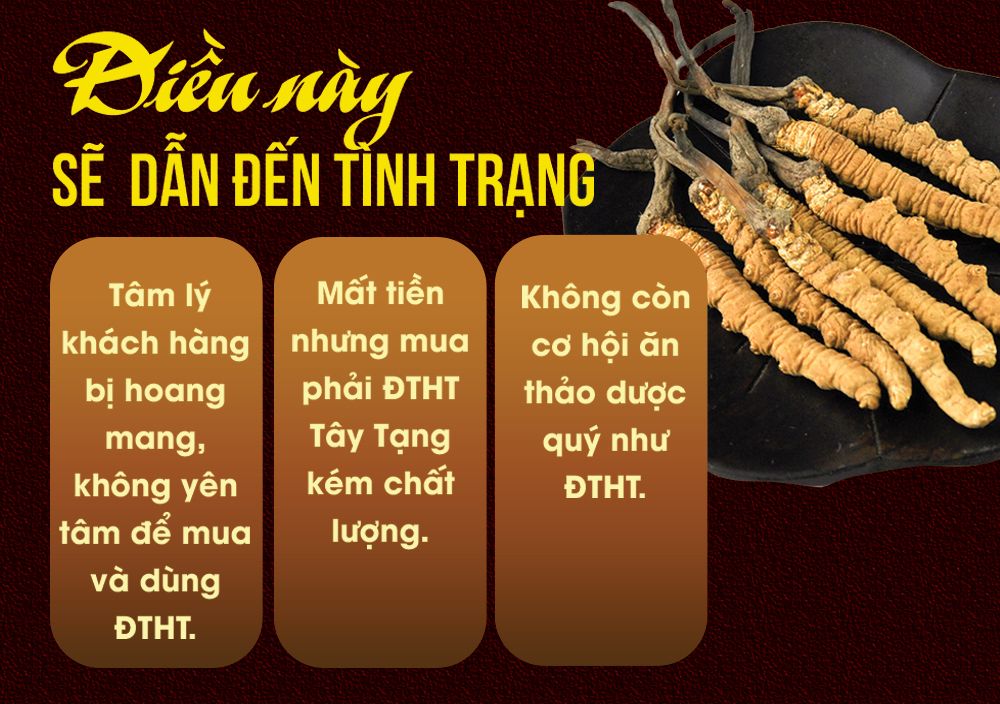 Con đông trùng hạ thảo nguyên con sấy khô loại nhỏ