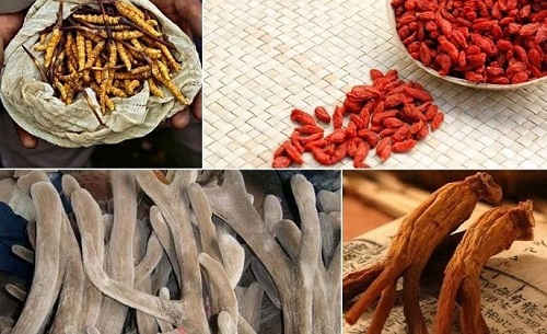 Cách ngâm rượu đông trùng hạ thảo để có tác dụng tốt nhất