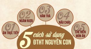 5 cách sử dụng đông trùng hạ thảo tốt nhất