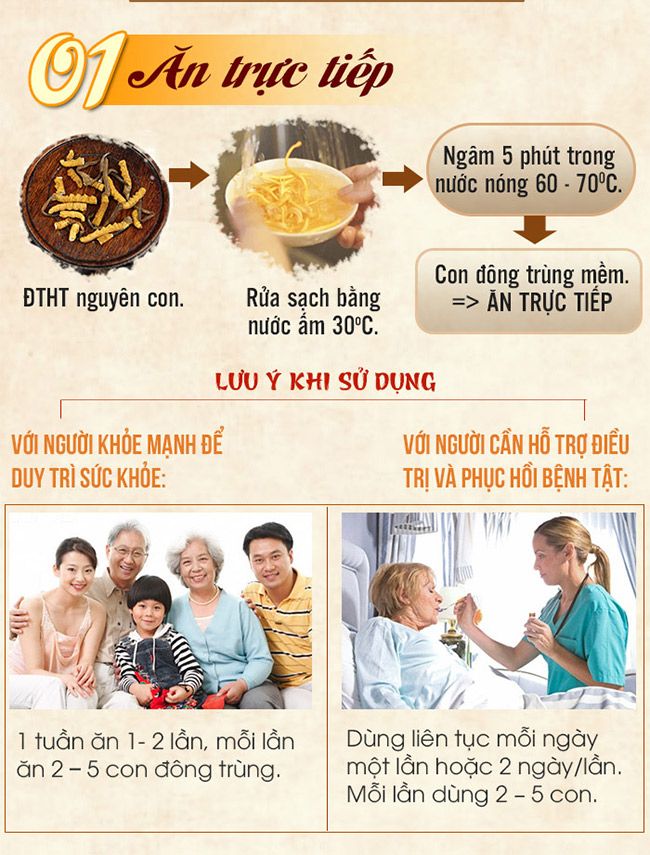 Ăn trực tiếp con đông trùng hạ thảo