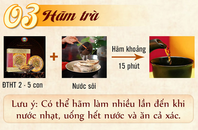 Dùng đông trùng hạ thảo hãm trà