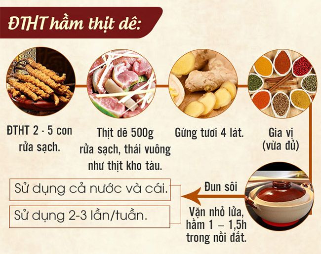Hướng dẫn làm đông trùng hạ thảo hầm thịt dê