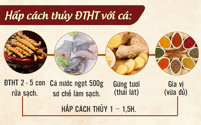 Hấp cách thủy đông trùng hạ thảo với cá