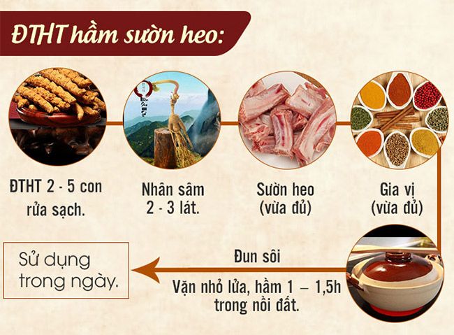 Hầm đông trùng hạ thảo với sườn heo
