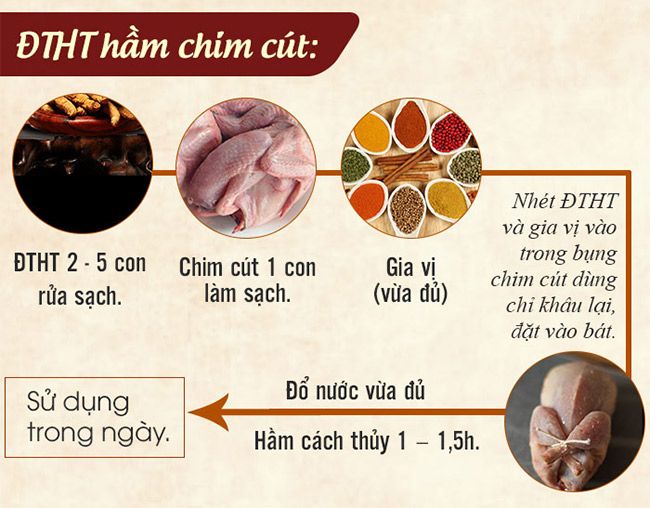 Chế biến đông trùng hạ thảo hầm chim cút