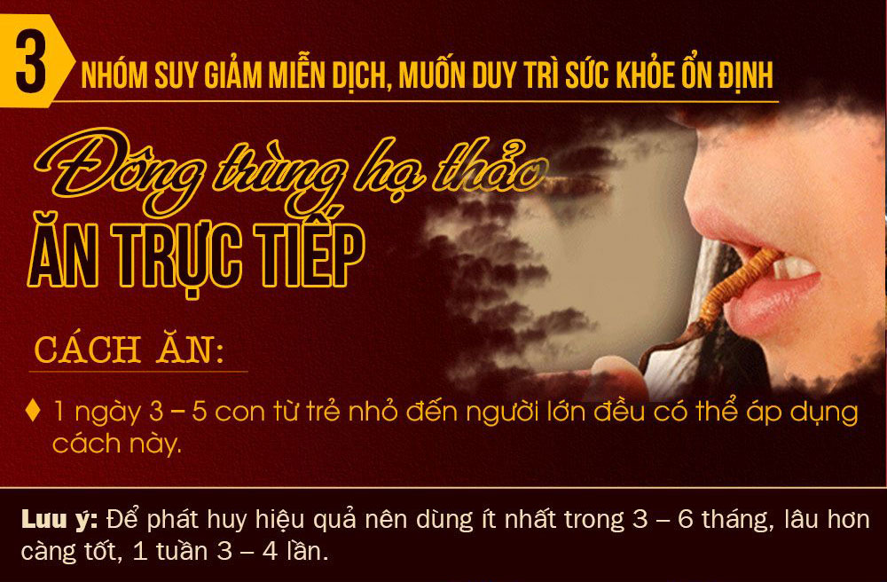 Ăn đông trùng hạ thảo trực tiếp giúp nâng cao sức khỏe tăng sức đề kháng