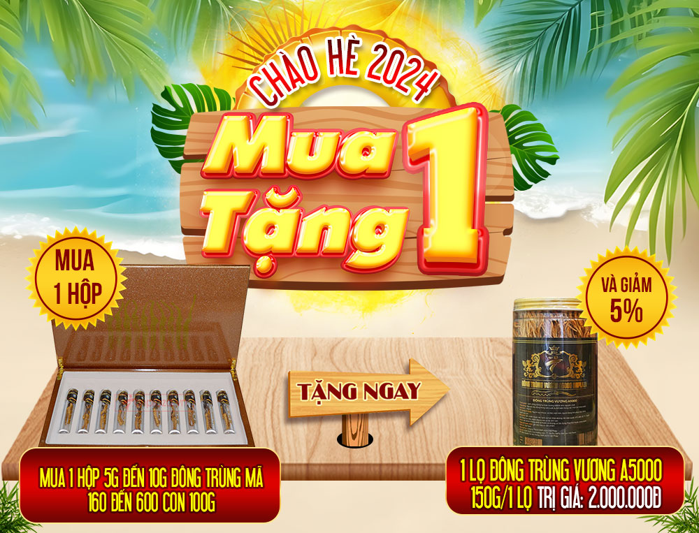 Đông trùng hạ thảo Tây Tạng nguyên con hộp 10gr