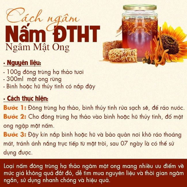 Nấm Đông trùng hạ thảo tươi ngâm với mật ong