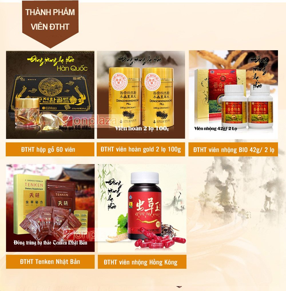 Các sản phẩm đông trùng hạ thảo dang viên được ưa chuộng trên thị trường