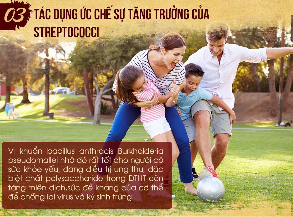 Đông trùng hạ thảo giúp tăng cường sức đề kháng tăng cường sức khỏe