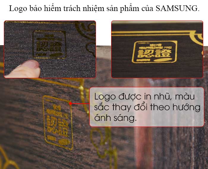 Logo của thương hiệu bảo trợ viên đông trùng hạ thảo