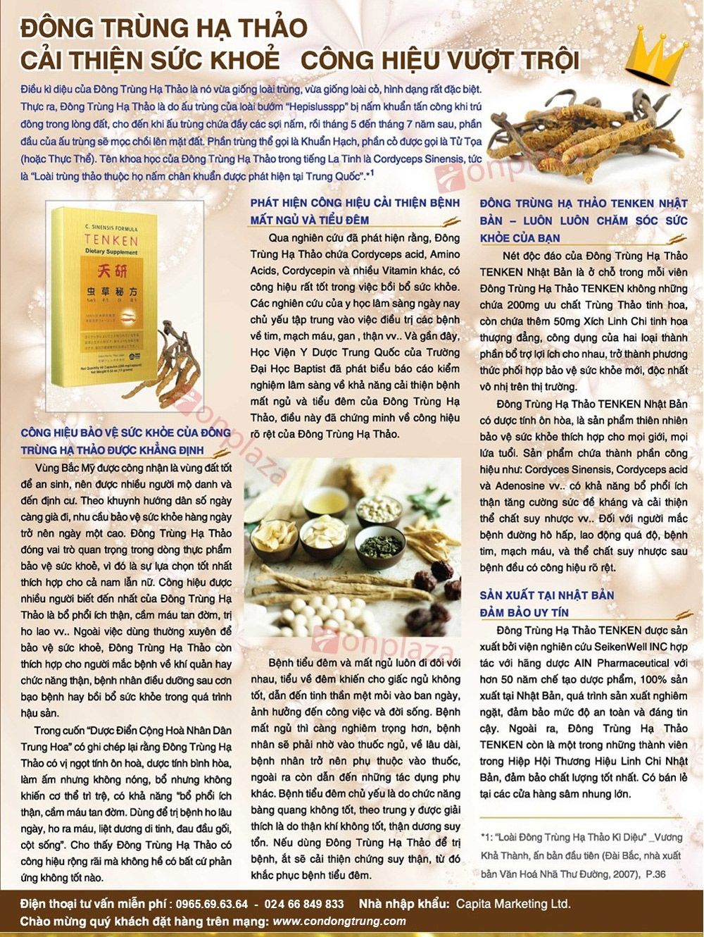 Thông tin chi tiết về thành phần trong viên nang đông trùng hạ thảo Tenken