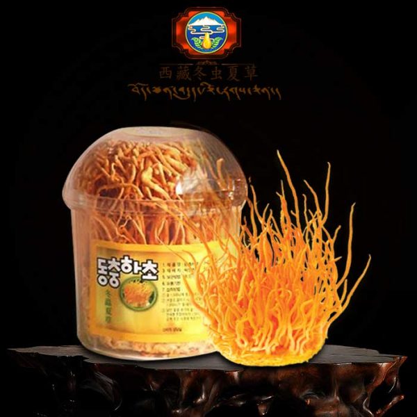 Giá nấm đông trùng hạ thảo khô nhập khẩu Hàn Quốc