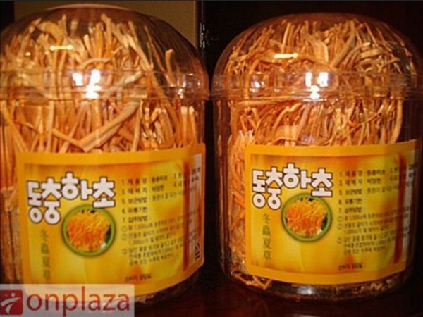 Hộp đông trùng hạ thảo nhân tạo nhập khẩu của Hàn Quốc