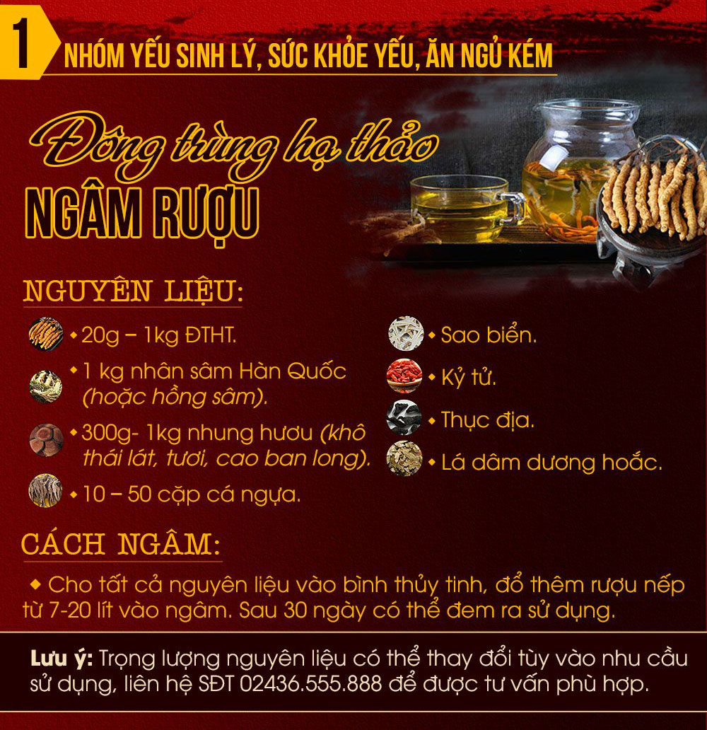 Đông trùng hạ thảo ngâm rượu cho người bị yếu sinh lý