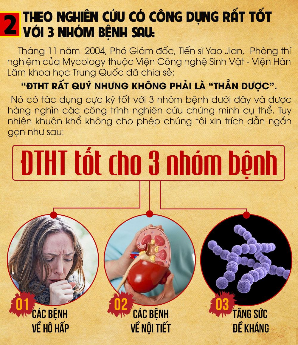 Tác dụng của đông trùng hạ thảo với 3 nhóm bệnh chính