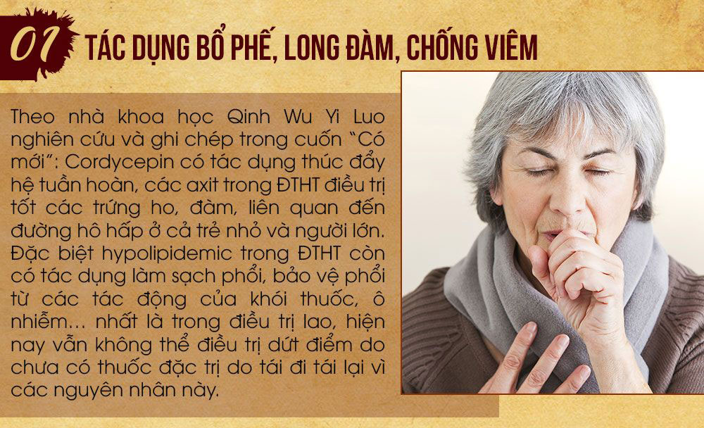 Tác dụng đông trùng hạ thảo tây tạng với các bệnh về hô hấp
