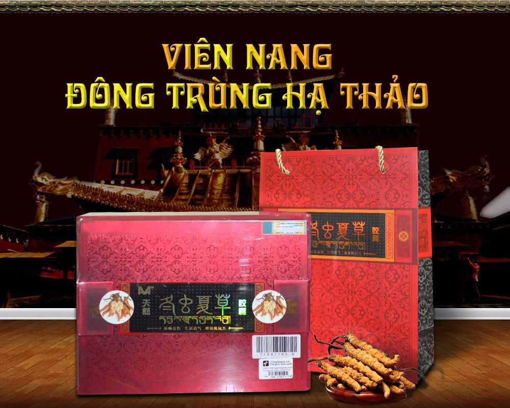 Hộp đông trùng hạ thảo dạng viên