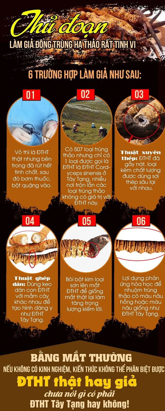 Thủ đoạn làm giả đông trùng hạ thảo tinh vi