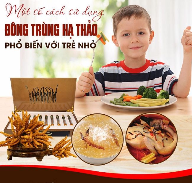 Cách ăn đông trùng hạ thảo tốt nhất cho trẻ