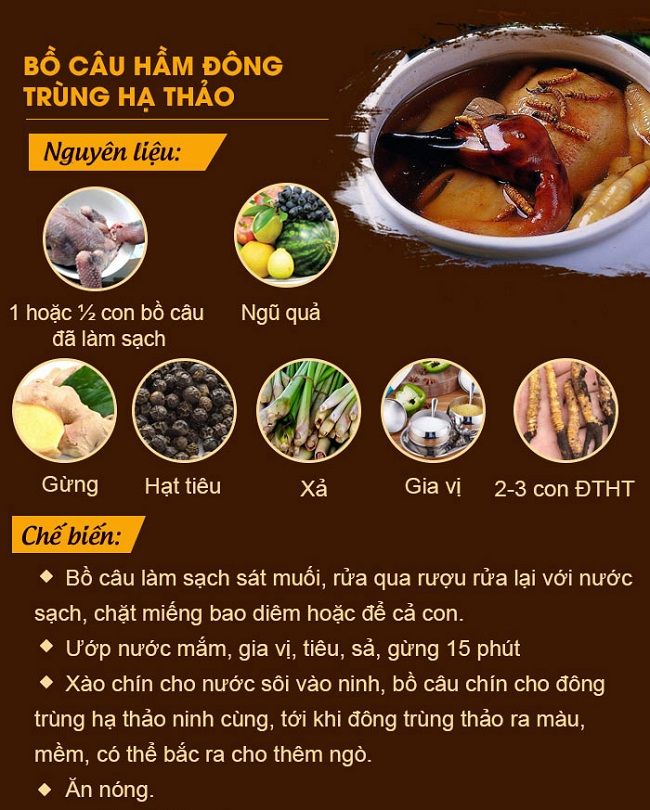 Cách nấu đông trùng hạ thảo hầm bồ câu cho trẻ