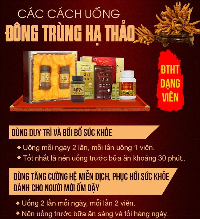 Hướng dẫn cách uống đông trùng hạ thảo dạng viên