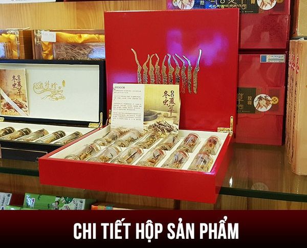 Đông trùng hạ thảo thiên nhiên của Tây Tạng hộp gỗ 20gr D003 1