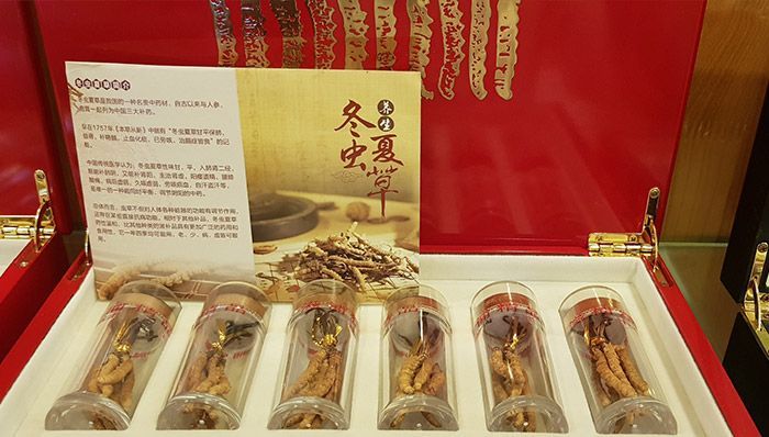 Đông trùng hạ thảo thiên nhiên của Tây Tạng hộp gỗ 20gr D003 9