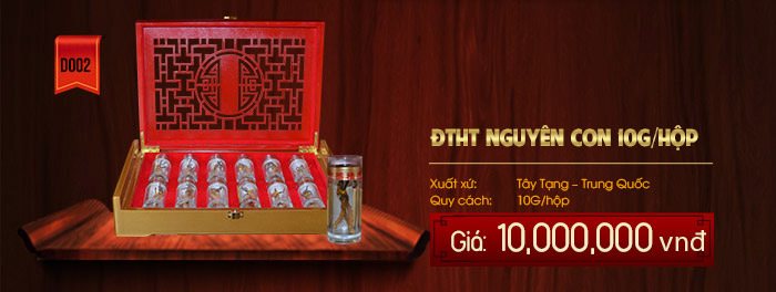 Giá 1 hộp đông trùng hạ thảo nguyên con