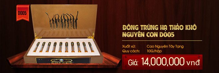 Giá đông trùng hạ thảo khô nguyên con tự nhiên