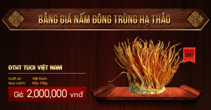 Giá đông trùng hạ thảo tươi của Việt Nam