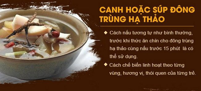 Nấu canh hoặc súp đông trùng hạ thảo