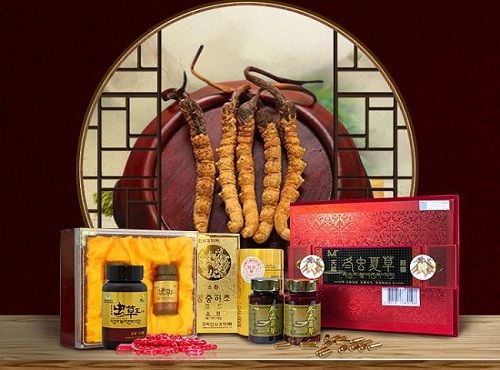 Sản phẩm đông trùng hạ thảo viên nang nổi tiếng