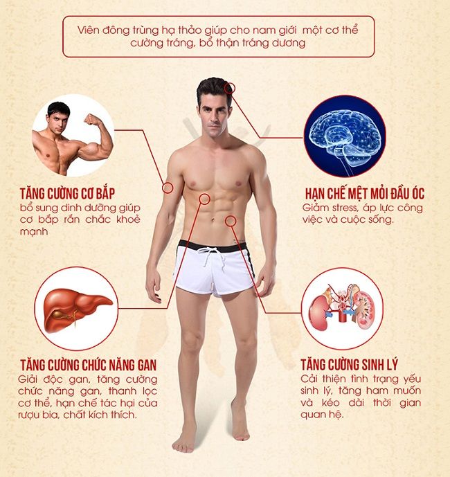 Tác dụng của đông trùng hạ thảo dạng viên với sức khỏe