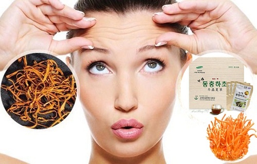 Tác dụng của đông trùng hạ thảo Hàn Quốc có tốt không