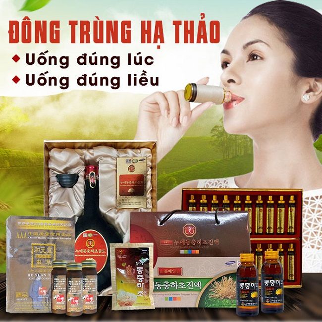 Uống đông trùng hạ thảo đúng lúc - đúng liều lượng mang lại tác dụng tốt