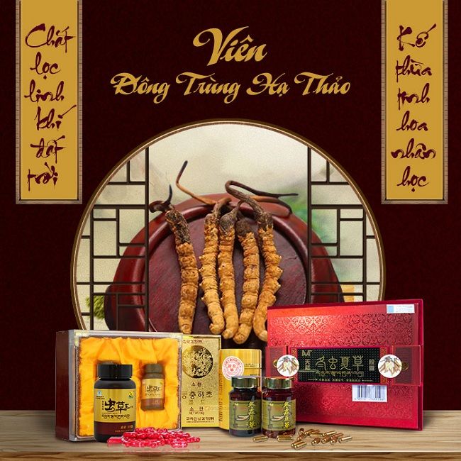 Một số sản phẩm đông trùng hạ thảo dạng viên nang nổi tiếng