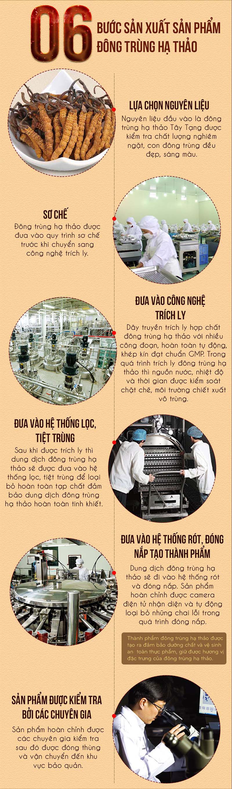 Quy trình sản xuất nước đông trùng hạ thảo
