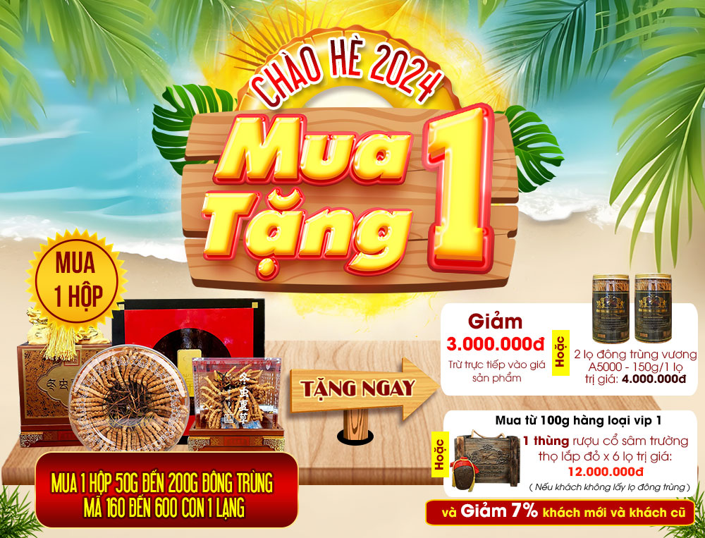 Đông trùng hạ thảo Tây Tạng loại 160 con hộp 100gr 